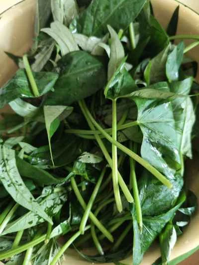 サツマイモの葉と赤ソーセージの炒め物の作り方:1