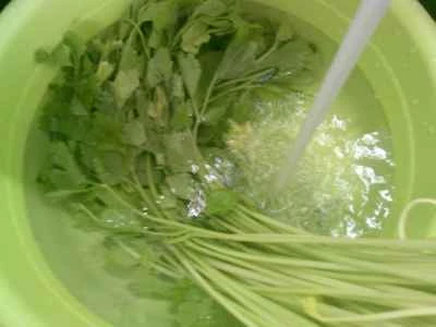 セロリと豆腐の皮の炒め物の作り方：4