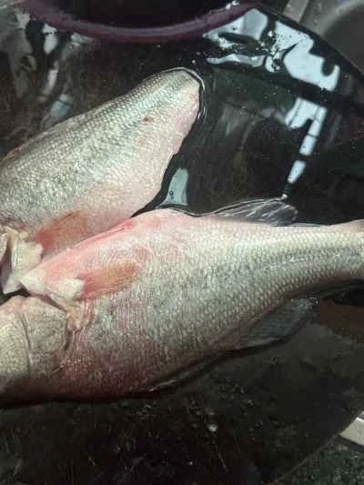 大根煮魚の作り方：3