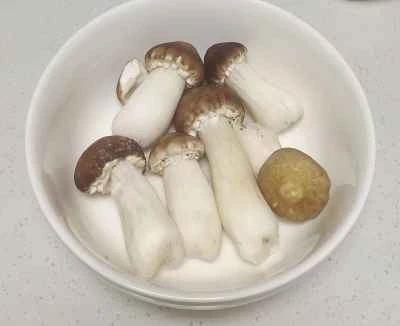 アガリクス・ブラゼイと野菜の煮込みの作り方：1