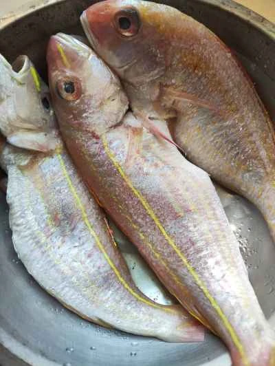 レッドスナッパーのソテーレシピ手順:1