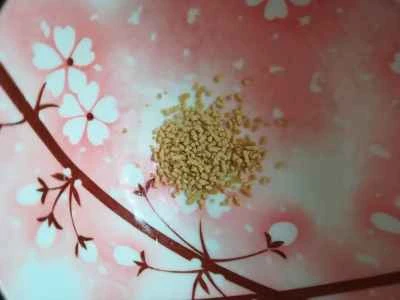 ネギ入り豆腐の煮込みの作り方：7