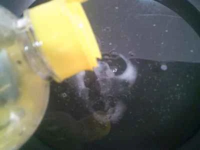 夜咲きセレウスとブロッコリーの炒め物の作り方：5