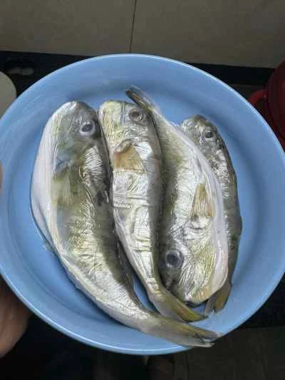 フグの煮込み大根の作り方：2