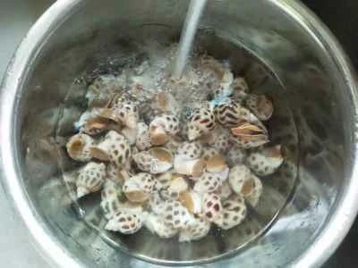 小さな貝を作る手順：1