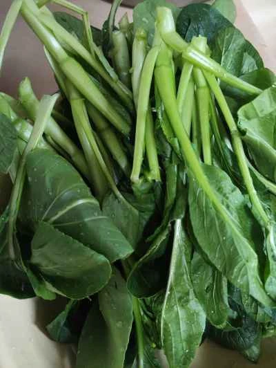 豚肉と白菜の炒め物を作る手順：1