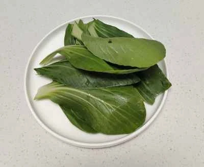 千切り白菜とオムレツの作り方：1