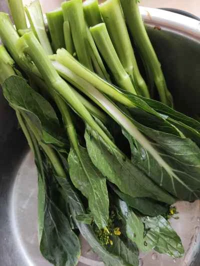 豚肉の皮と白菜の炒め物の作り方:1