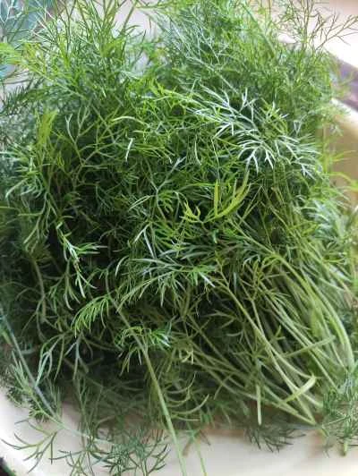 フェンネル風味の目玉焼きの作り方：1