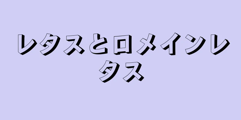 レタスとロメインレタス