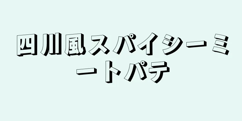 四川風スパイシーミートパテ