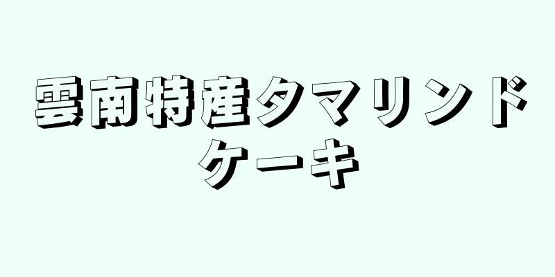 雲南特産タマリンドケーキ