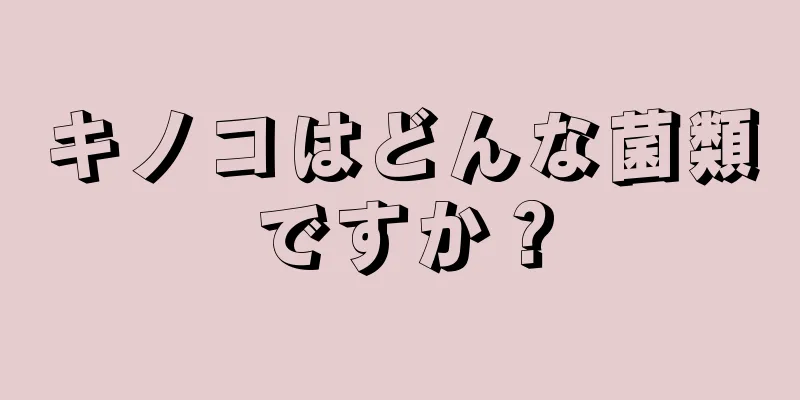 キノコはどんな菌類ですか？