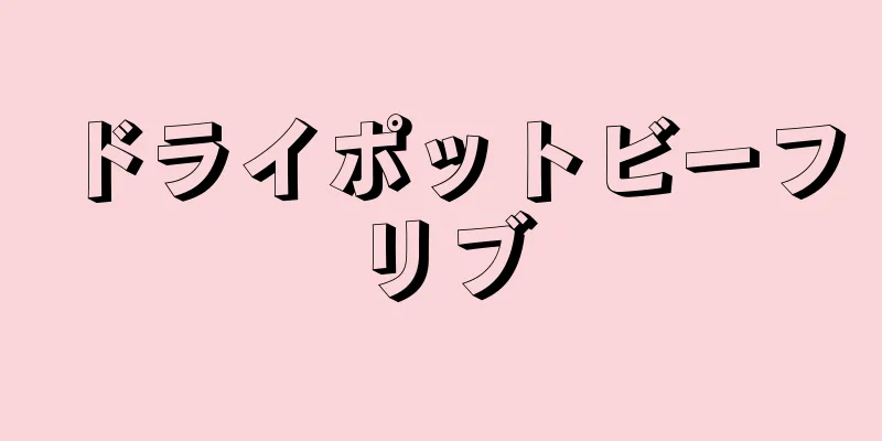 ドライポットビーフリブ