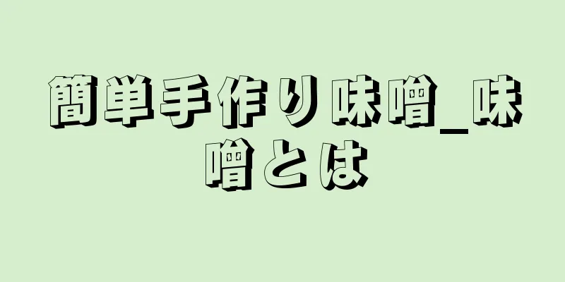 簡単手作り味噌_味噌とは