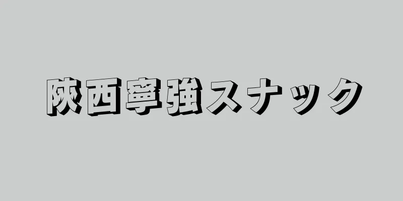 陝西寧強スナック