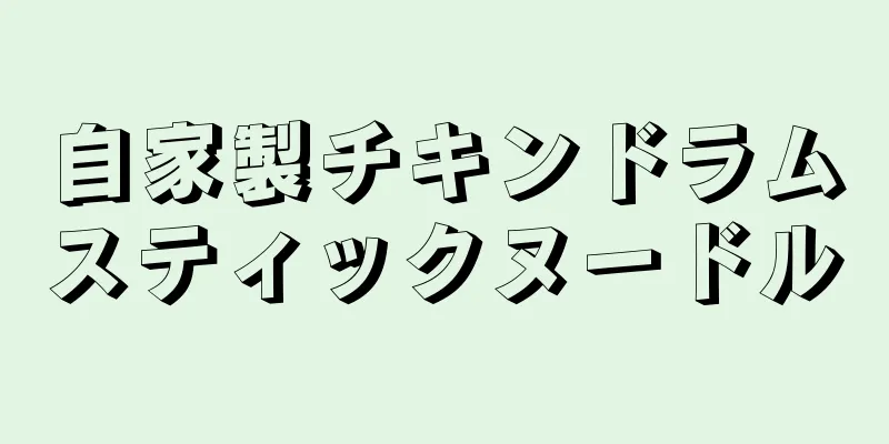 自家製チキンドラムスティックヌードル