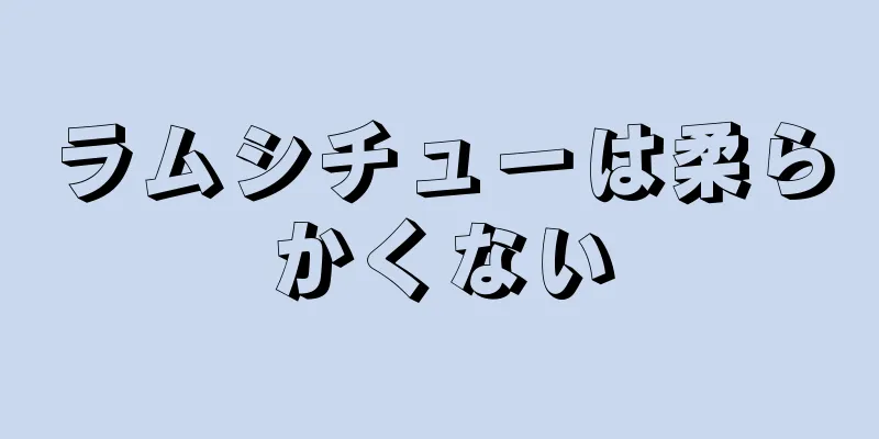 ラムシチューは柔らかくない