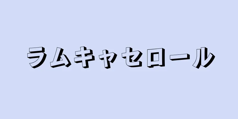 ラムキャセロール