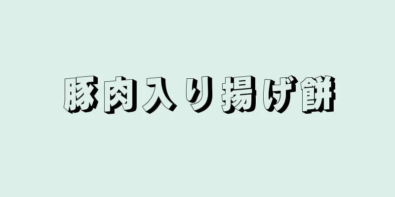 豚肉入り揚げ餅