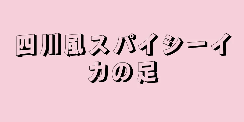 四川風スパイシーイカの足