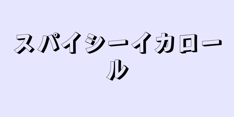 スパイシーイカロール