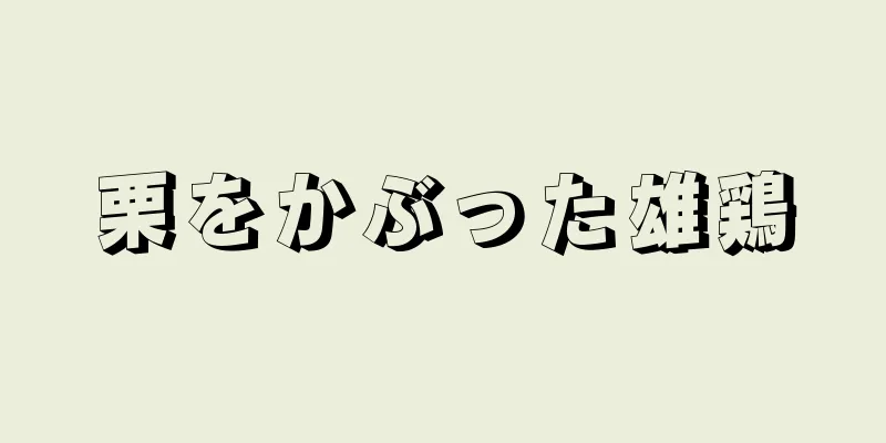 栗をかぶった雄鶏