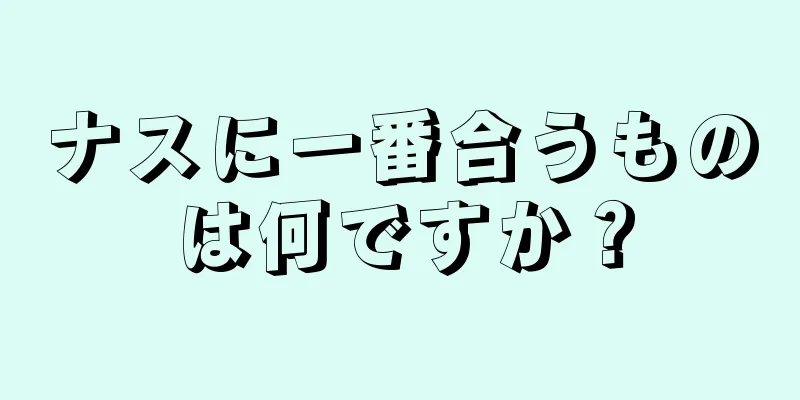 ナスに一番合うものは何ですか？