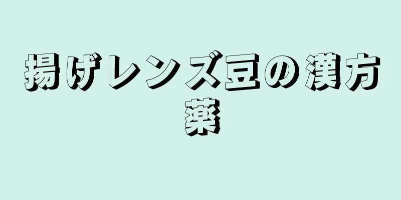 揚げレンズ豆の漢方薬