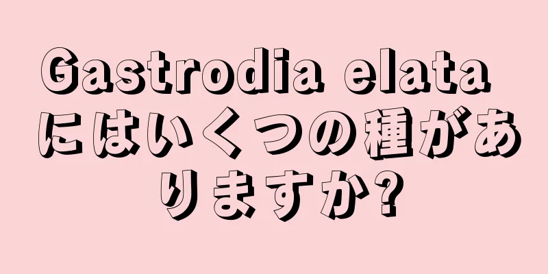 Gastrodia elata にはいくつの種がありますか?