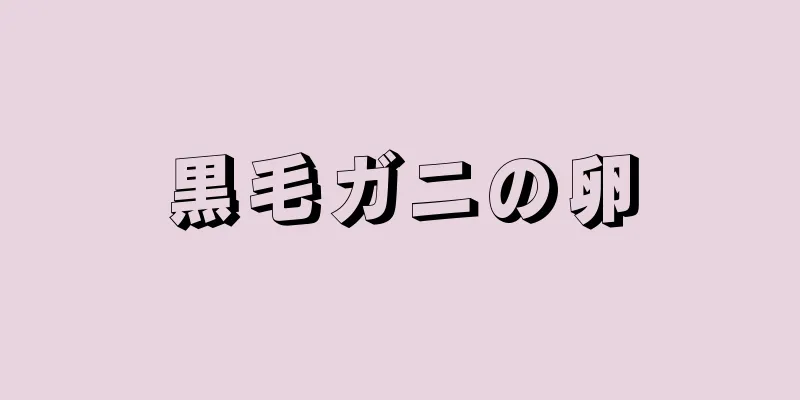 黒毛ガニの卵