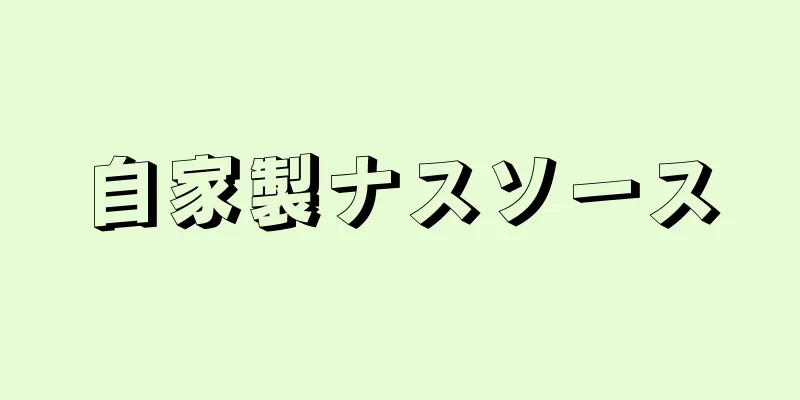 自家製ナスソース