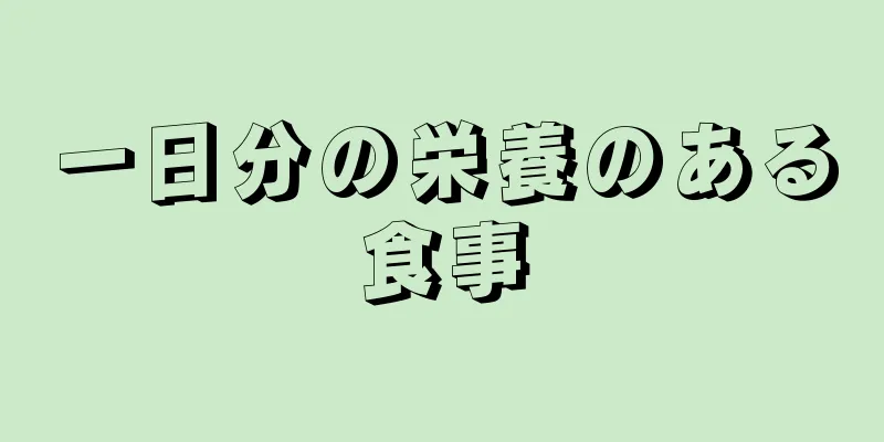 一日分の栄養のある食事