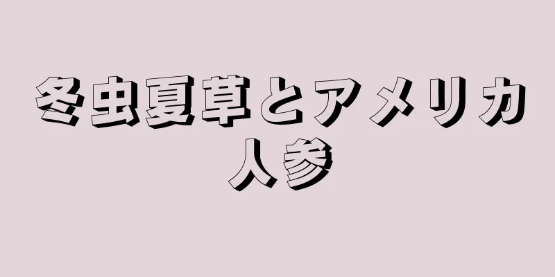 冬虫夏草とアメリカ人参