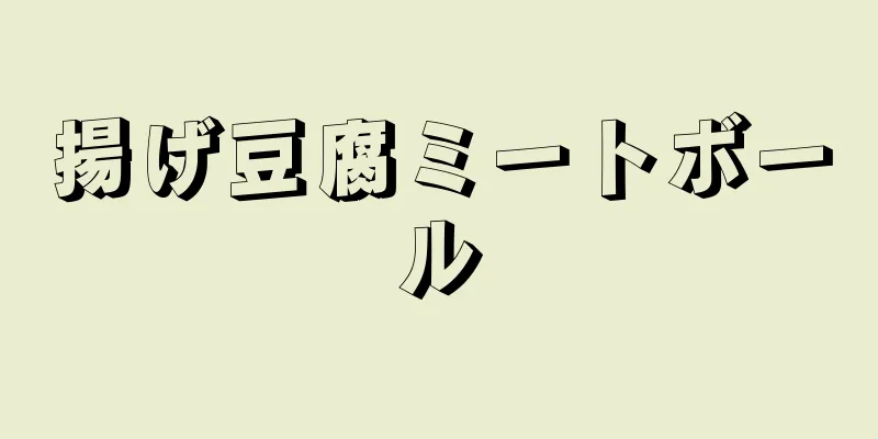 揚げ豆腐ミートボール