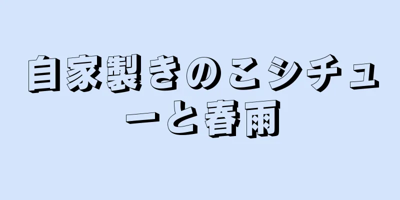 自家製きのこシチューと春雨