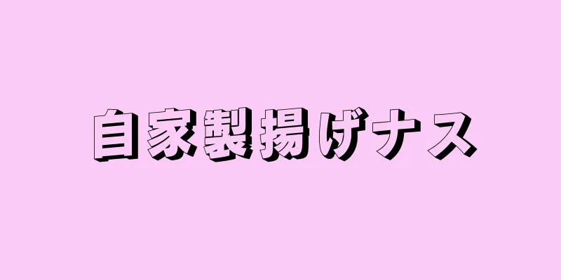 自家製揚げナス