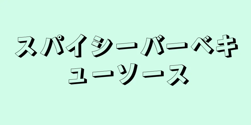 スパイシーバーベキューソース