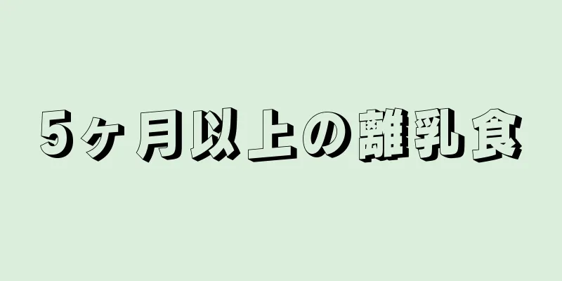 5ヶ月以上の離乳食