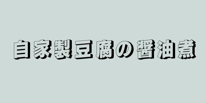 自家製豆腐の醤油煮