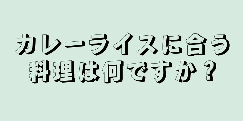 カレーライスに合う料理は何ですか？