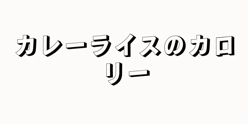 カレーライスのカロリー