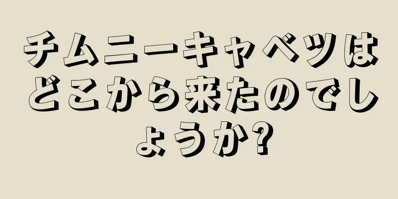 チムニーキャベツはどこから来たのでしょうか?