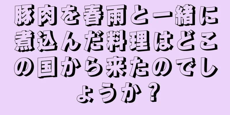 豚肉を春雨と一緒に煮込んだ料理はどこの国から来たのでしょうか？