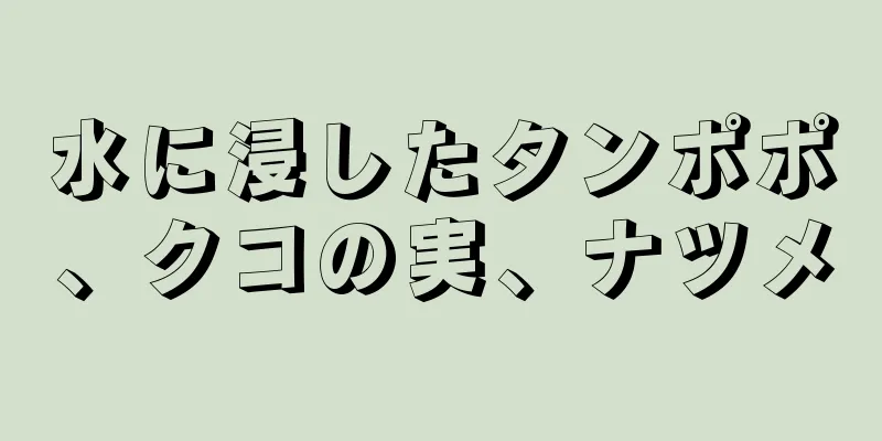 水に浸したタンポポ、クコの実、ナツメ