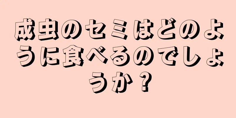 成虫のセミはどのように食べるのでしょうか？