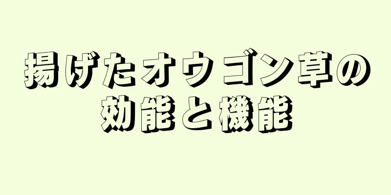 揚げたオウゴン草の効能と機能