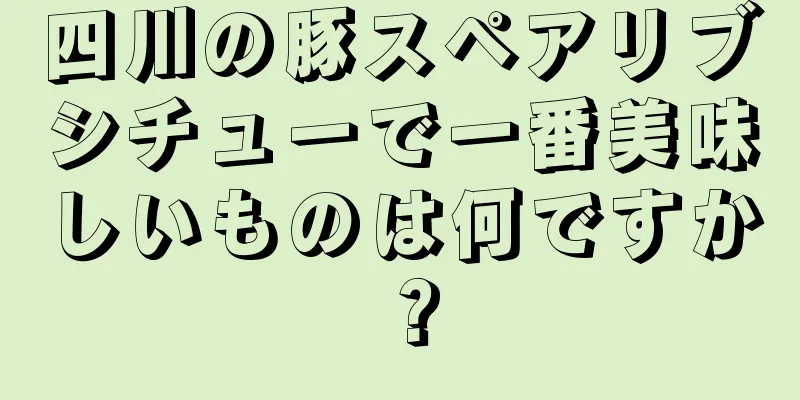 四川の豚スペアリブシチューで一番美味しいものは何ですか？