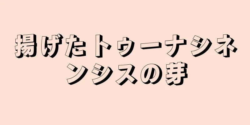 揚げたトゥーナシネンシスの芽