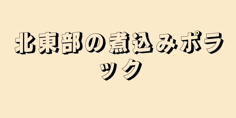 北東部の煮込みポラック